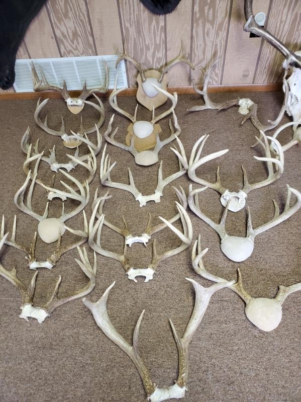 N8720 County Cx Portage, WI 53901 - Photo 39 of 41