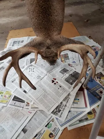 $734,900 | N8720 County Cx, Portage, WI 53901