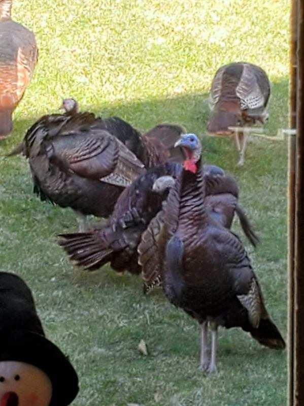 N8720 County Cx Portage, WI 53901 - Photo 41 of 41