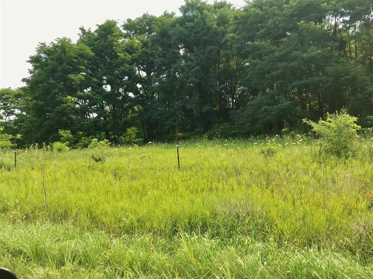 Lot H Buckhorn Road Three Rivers, MI 49093 - Photo 3 of 5 Gallery Image 3