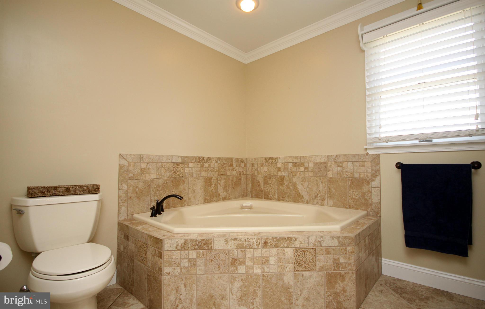 830-4 4 Seasons Road Westminster, MD 21157 - Photo 23 of 30 Bath (Master)