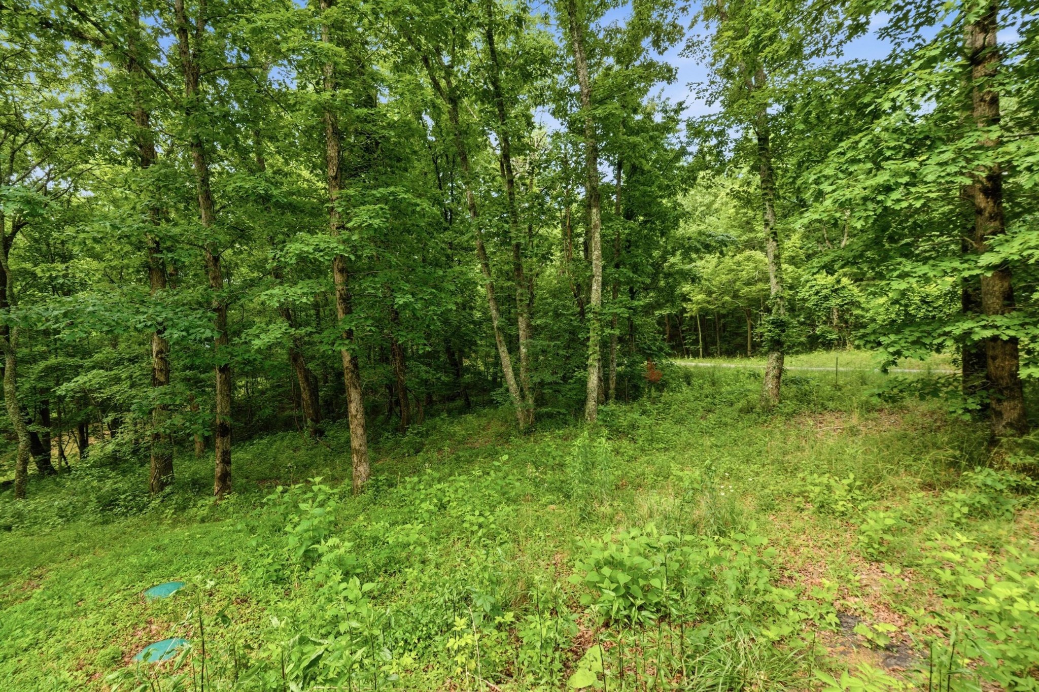 739 South Moore Road Rising Fawn, GA 30738 - Photo 23 of 26 a view of backyard with green space