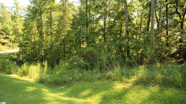 $224,900 | Cleo Chapman Highway, Sunset, SC 29685
