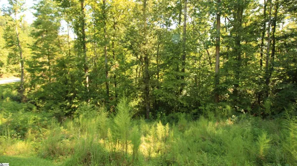 $224,900 | Cleo Chapman Highway, Sunset, SC 29685