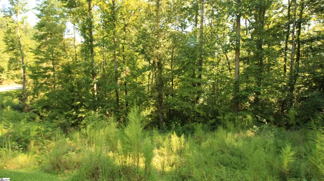 $224,900 | Cleo Chapman Highway, Sunset, SC 29685