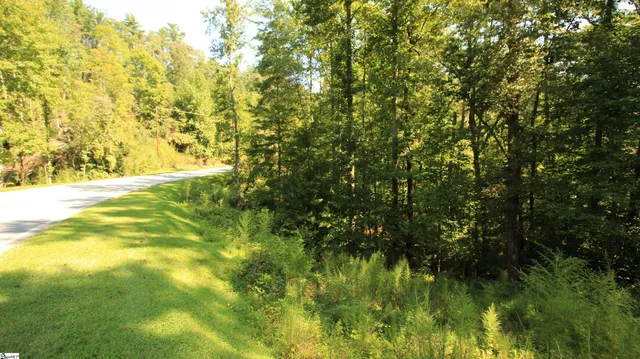 $224,900 | Cleo Chapman Highway, Sunset, SC 29685