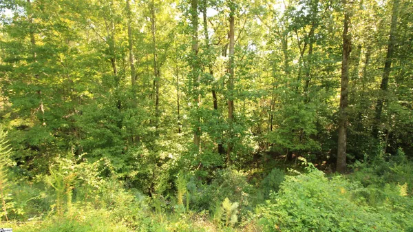 $224,900 | Cleo Chapman Highway, Sunset, SC 29685