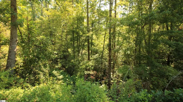 $224,900 | Cleo Chapman Highway, Sunset, SC 29685