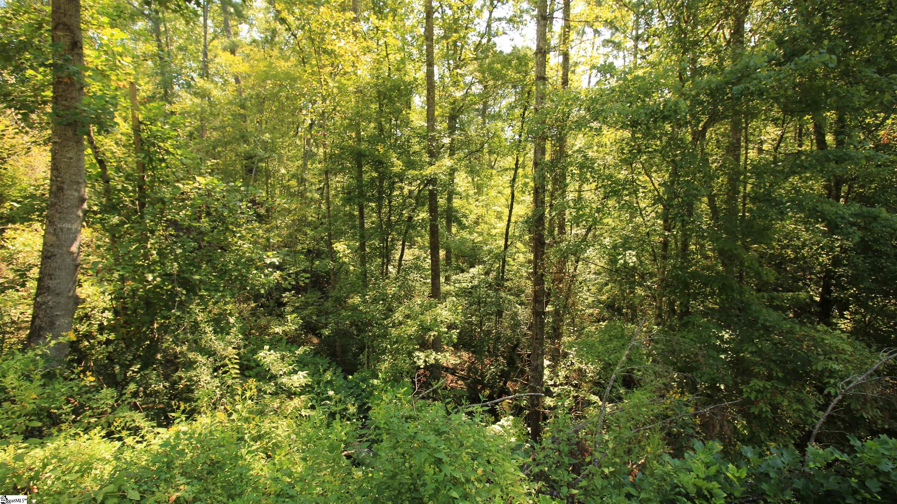 Cleo Chapman Highway Sunset, SC 29685 - Photo 15 of 25