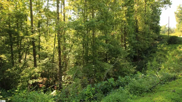 $224,900 | Cleo Chapman Highway, Sunset, SC 29685