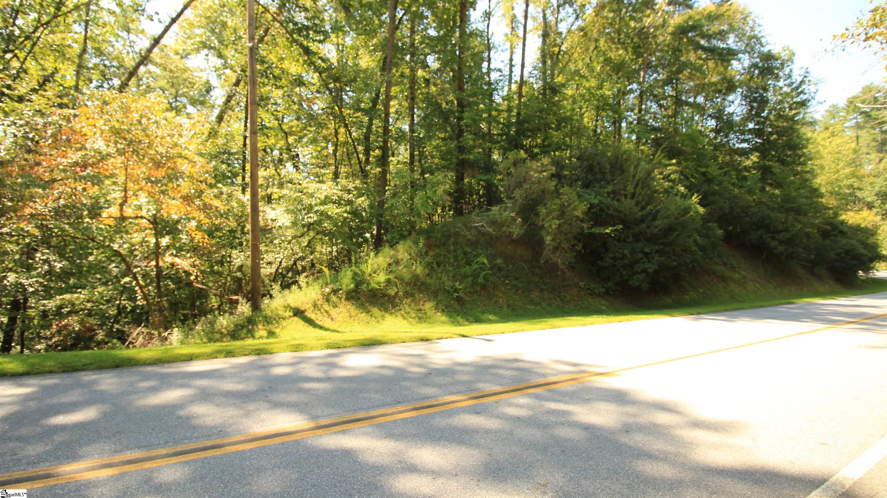 Cleo Chapman Highway Sunset, SC 29685 - Photo 18 of 25
