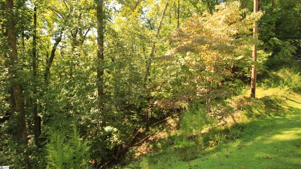 $224,900 | Cleo Chapman Highway, Sunset, SC 29685