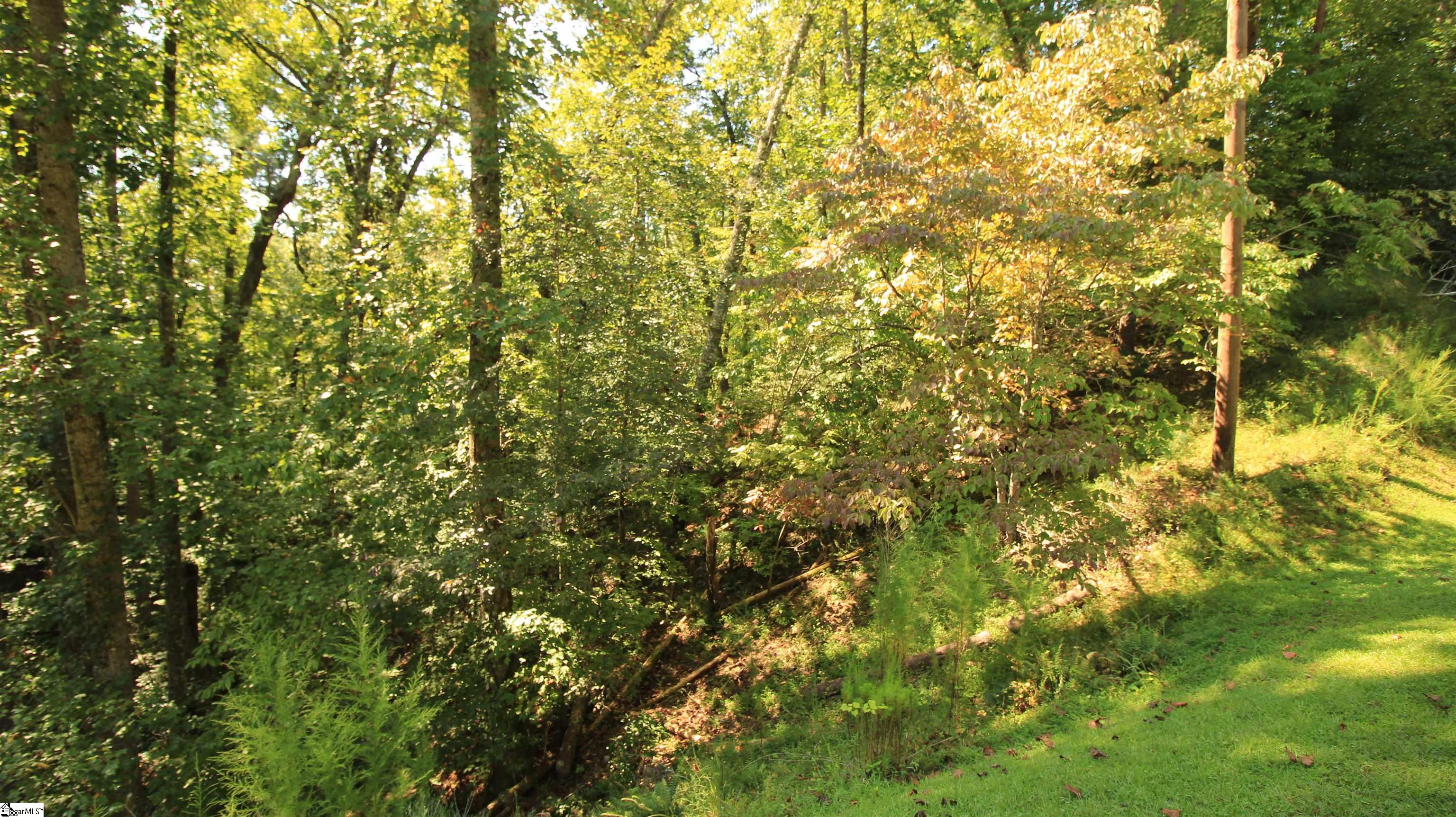 Cleo Chapman Highway Sunset, SC 29685 - Photo 19 of 25