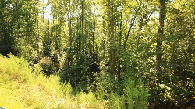 $224,900 | Cleo Chapman Highway, Sunset, SC 29685