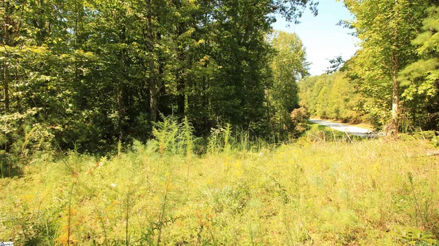 $224,900 | Cleo Chapman Highway, Sunset, SC 29685