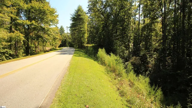 $224,900 | Cleo Chapman Highway, Sunset, SC 29685