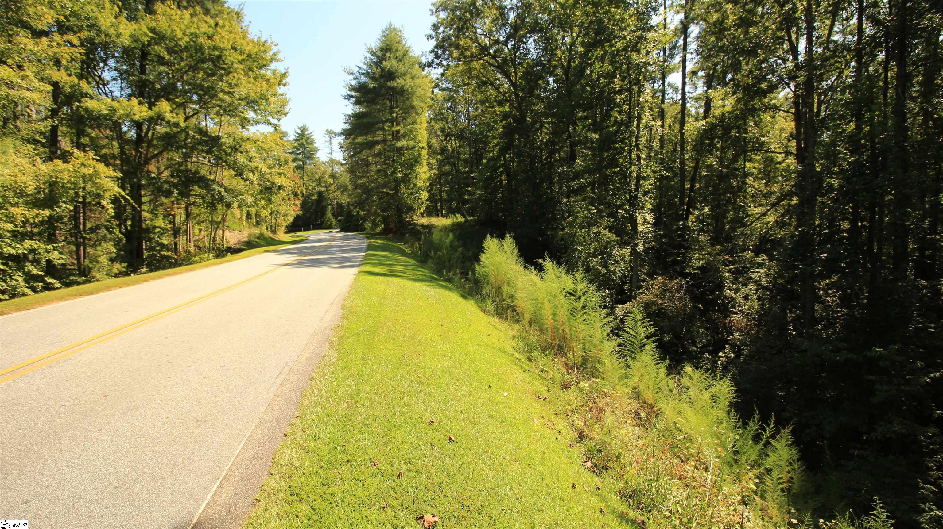 Cleo Chapman Highway Sunset, SC 29685 - Photo 21 of 25