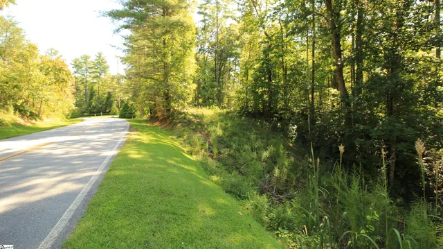 $224,900 | Cleo Chapman Highway, Sunset, SC 29685