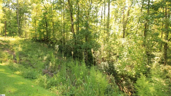 $224,900 | Cleo Chapman Highway, Sunset, SC 29685