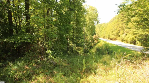 $224,900 | Cleo Chapman Highway, Sunset, SC 29685