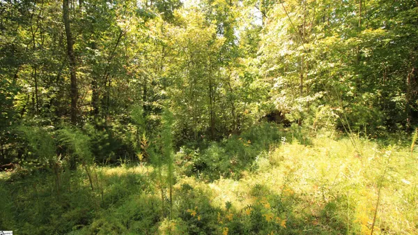 $224,900 | Cleo Chapman Highway, Sunset, SC 29685