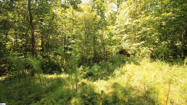 $224,900 | Cleo Chapman Highway, Sunset, SC 29685