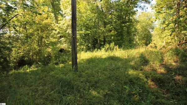 $224,900 | Cleo Chapman Highway, Sunset, SC 29685