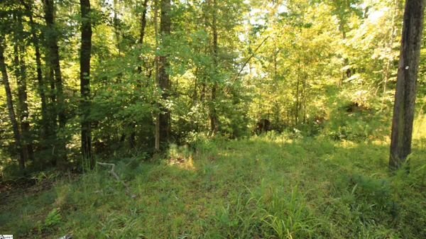 $224,900 | Cleo Chapman Highway, Sunset, SC 29685