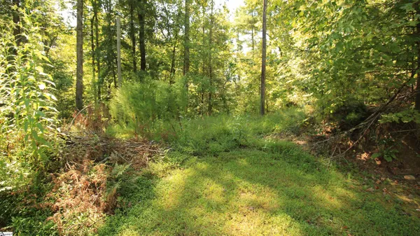 $224,900 | Cleo Chapman Highway, Sunset, SC 29685