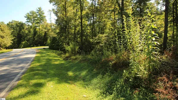 $224,900 | Cleo Chapman Highway, Sunset, SC 29685