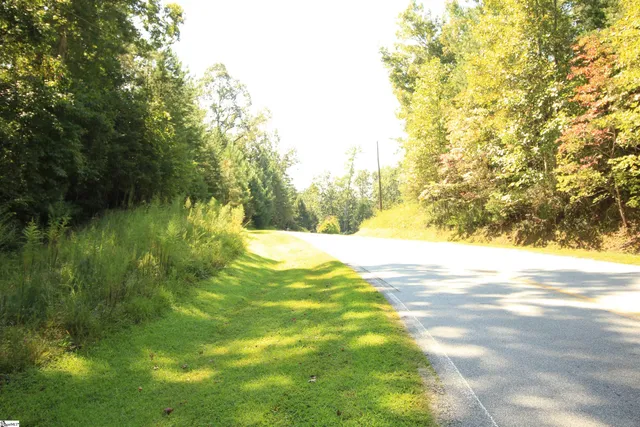 $224,900 | Cleo Chapman Highway, Sunset, SC 29685