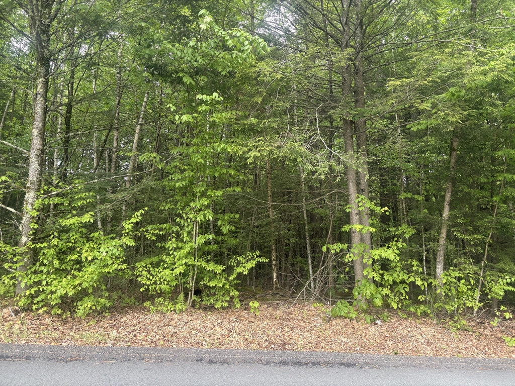 0 Gray Road Templeton, MA 01468 - Photo 4 of 4