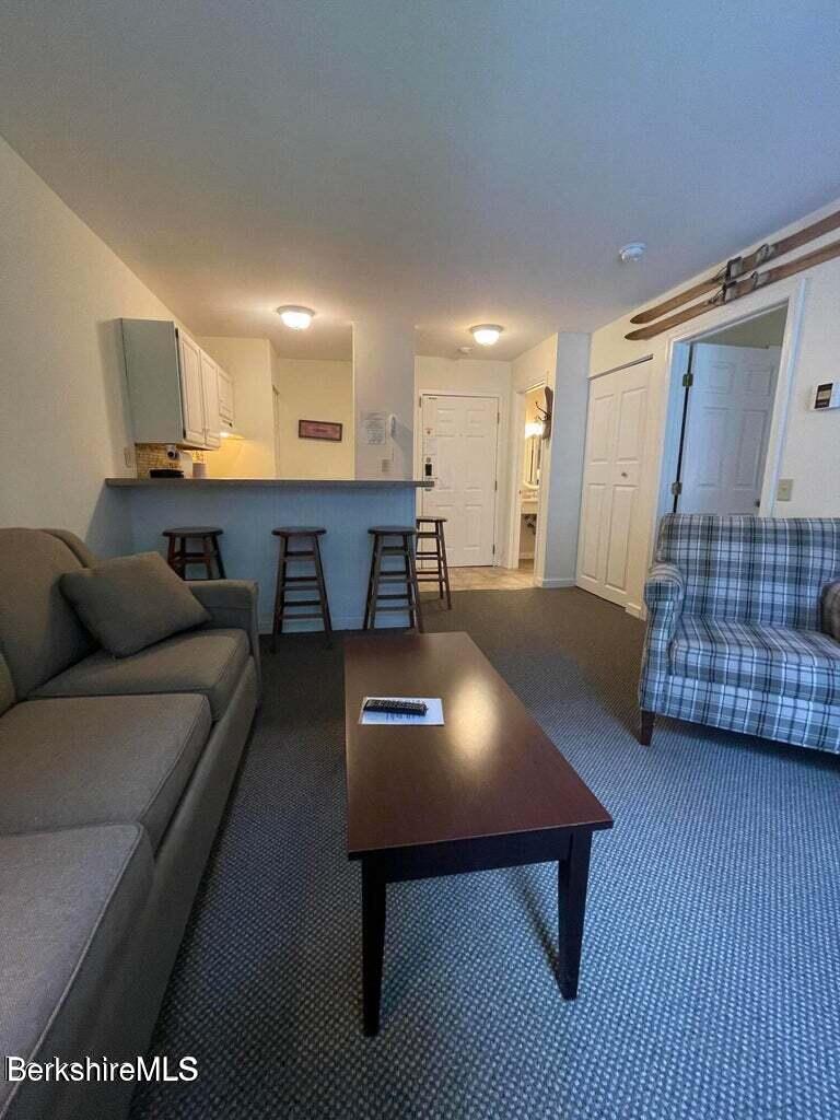 37 Corey Road, Unit 623 Hancock, MA 01237 - Photo 8 of 14 a living room with furniture and a couch