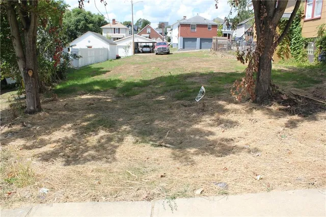 a view of a backyard with large trees