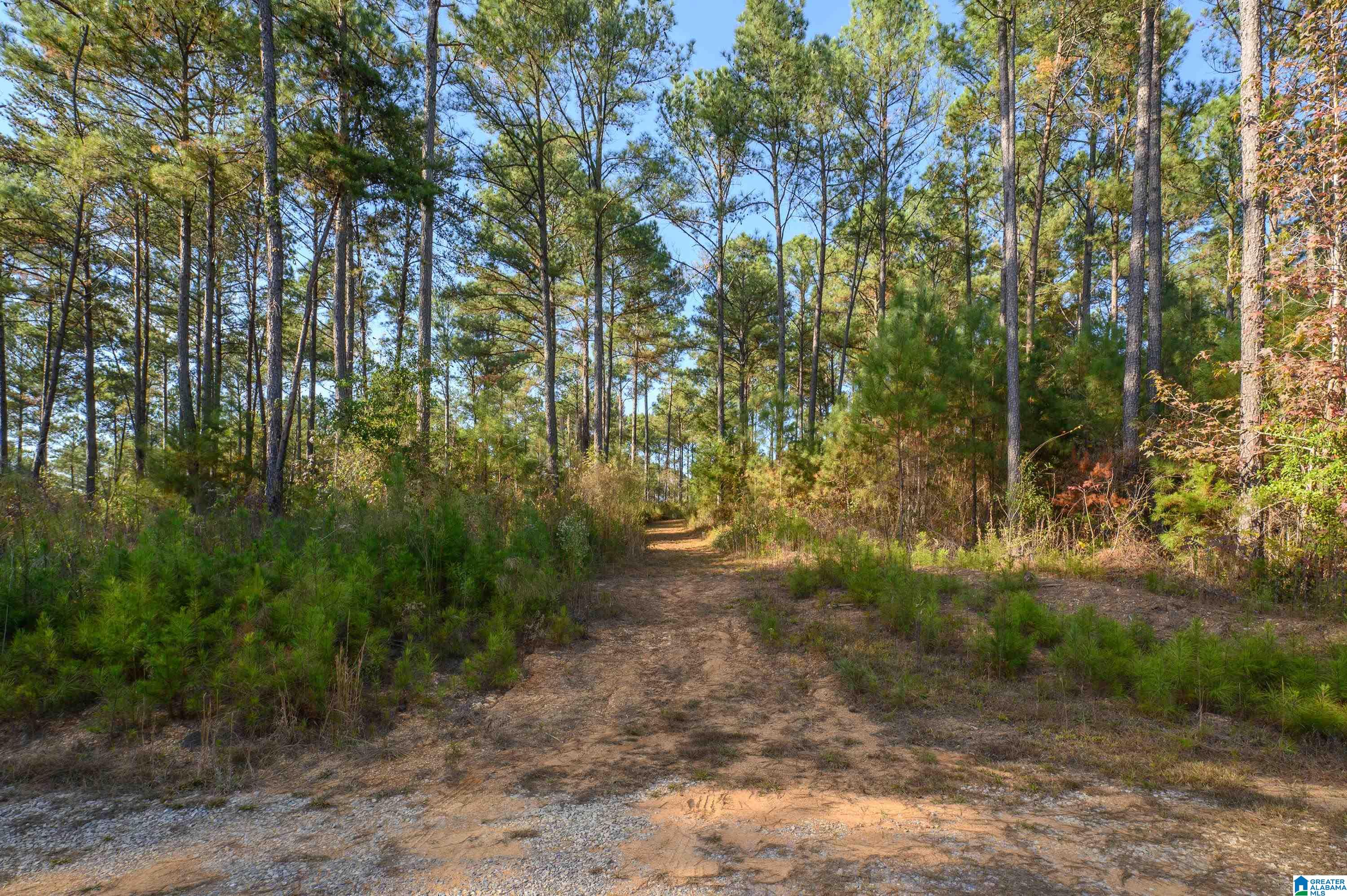 203 Gould Road Columbiana, AL 35051 - Photo 41 of 56