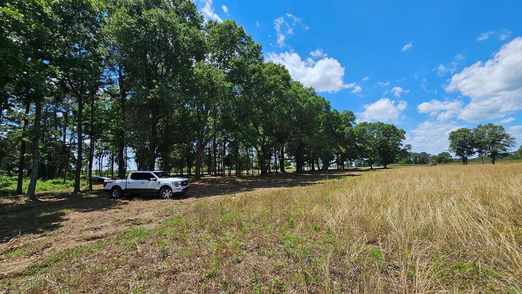 92 County Road 92 Slocomb, AL 36375 - Photo 31 of 58