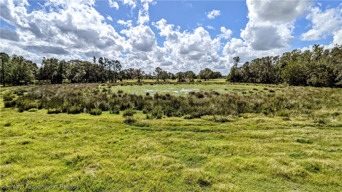 526 Torrey Road Bowling Green, FL 33834 - Photo 16 of 49 Gallery Image 16
