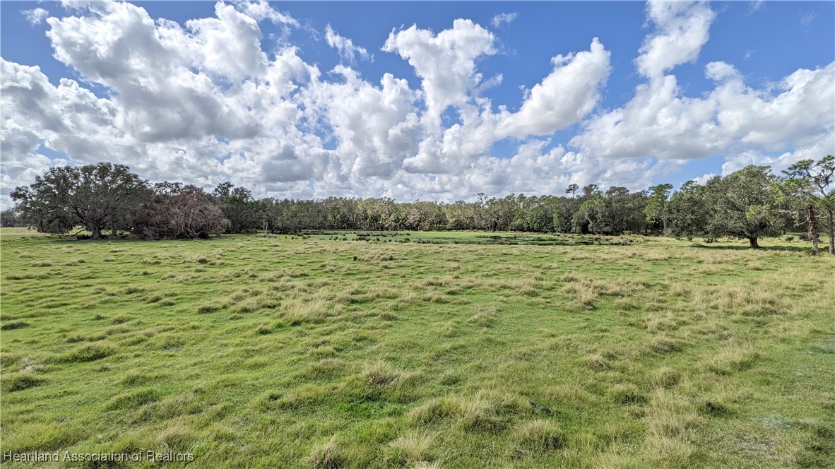 526 Torrey Road Bowling Green, FL 33834 - Photo 17 of 49 Gallery Image 17