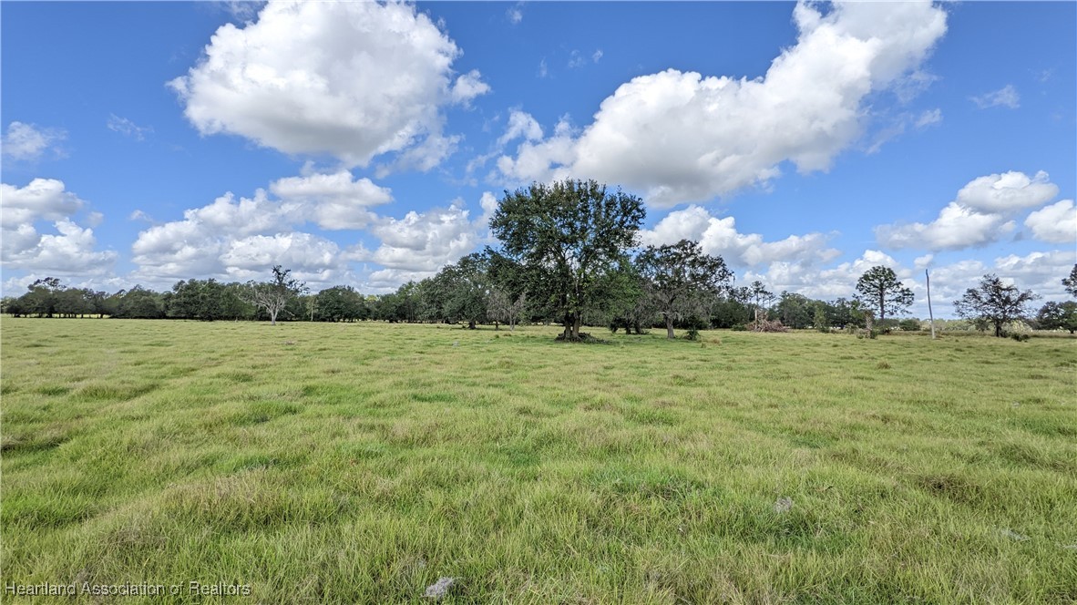 526 Torrey Road Bowling Green, FL 33834 - Photo 25 of 49 Gallery Image 25