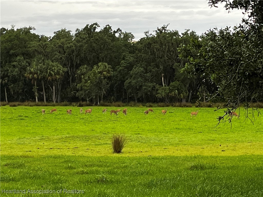 526 Torrey Road Bowling Green, FL 33834 - Photo 26 of 49 Gallery Image 26