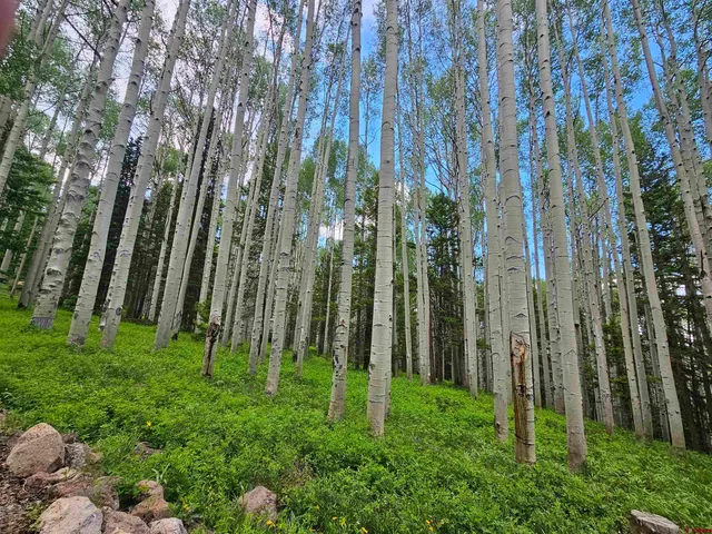 $57,000 | 580 Columbine Drive, Cimarron, CO 81220