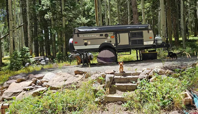 a view of a chairs and table in the patio