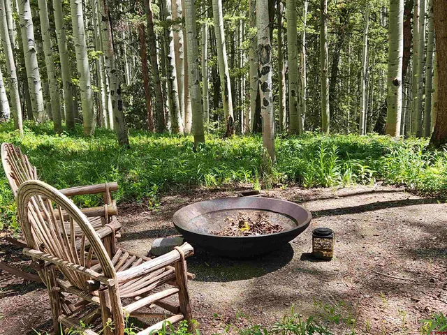 a view of a backyard with sitting area and garden