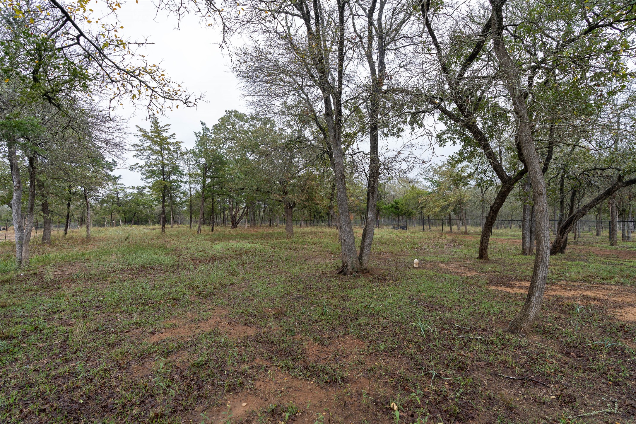 362 St Johns Road Dale, TX 78616 - Photo 21 of 26 View of yard with a wooded view