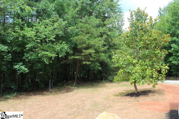 309 Newton Road Pickens, SC 29671 - Photo 31 of 35
