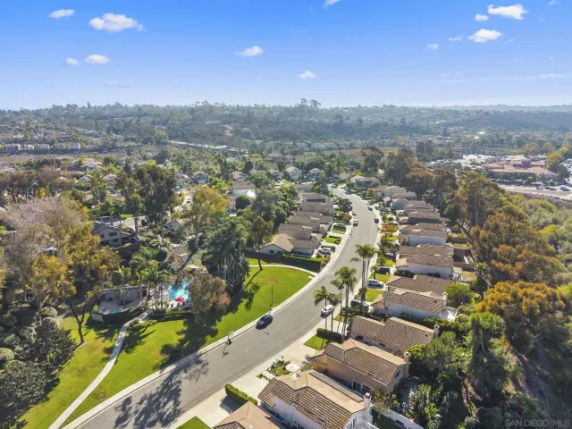 a picture of flowers