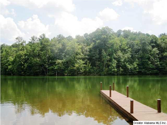 95 Fox Run Lineville, AL 36266 - Photo 21 of 21