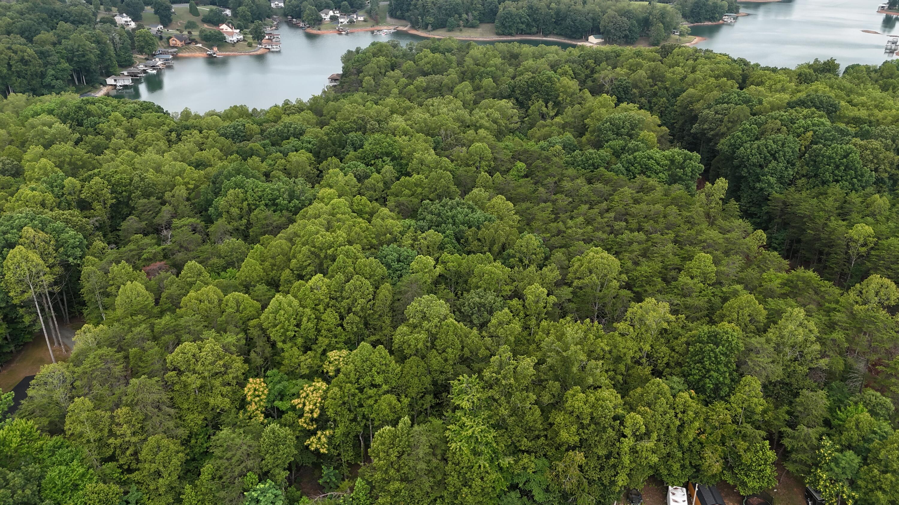 2715-2697 Kemp Ford Road Union Hall, VA 24176 - Photo 10 of 14 DJI_20260708105735_0012_D