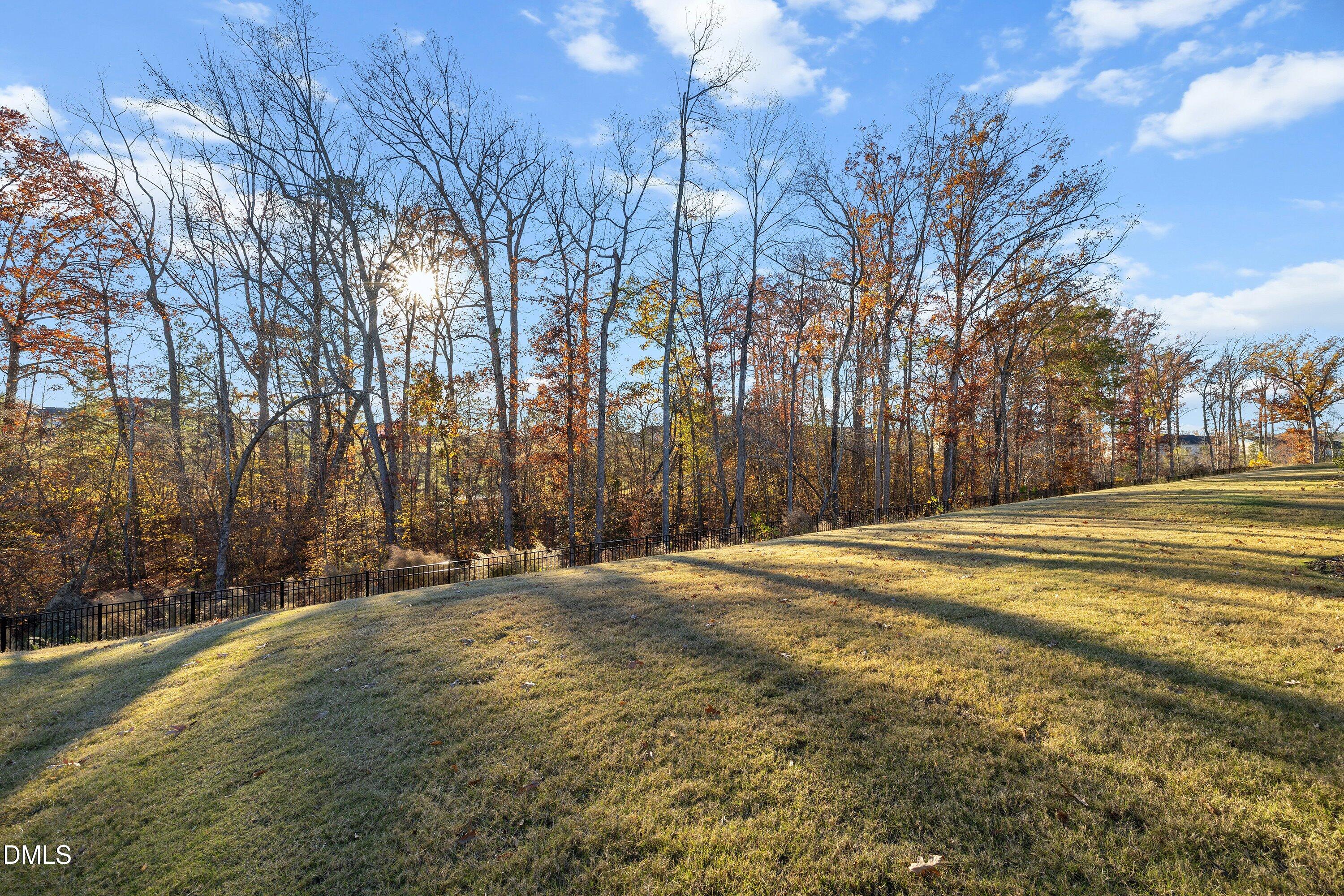 2017 Abbeyhill Drive Raleigh, NC 27610 - Photo 22 of 22 41-2017 Abbeyhill Dr_0334