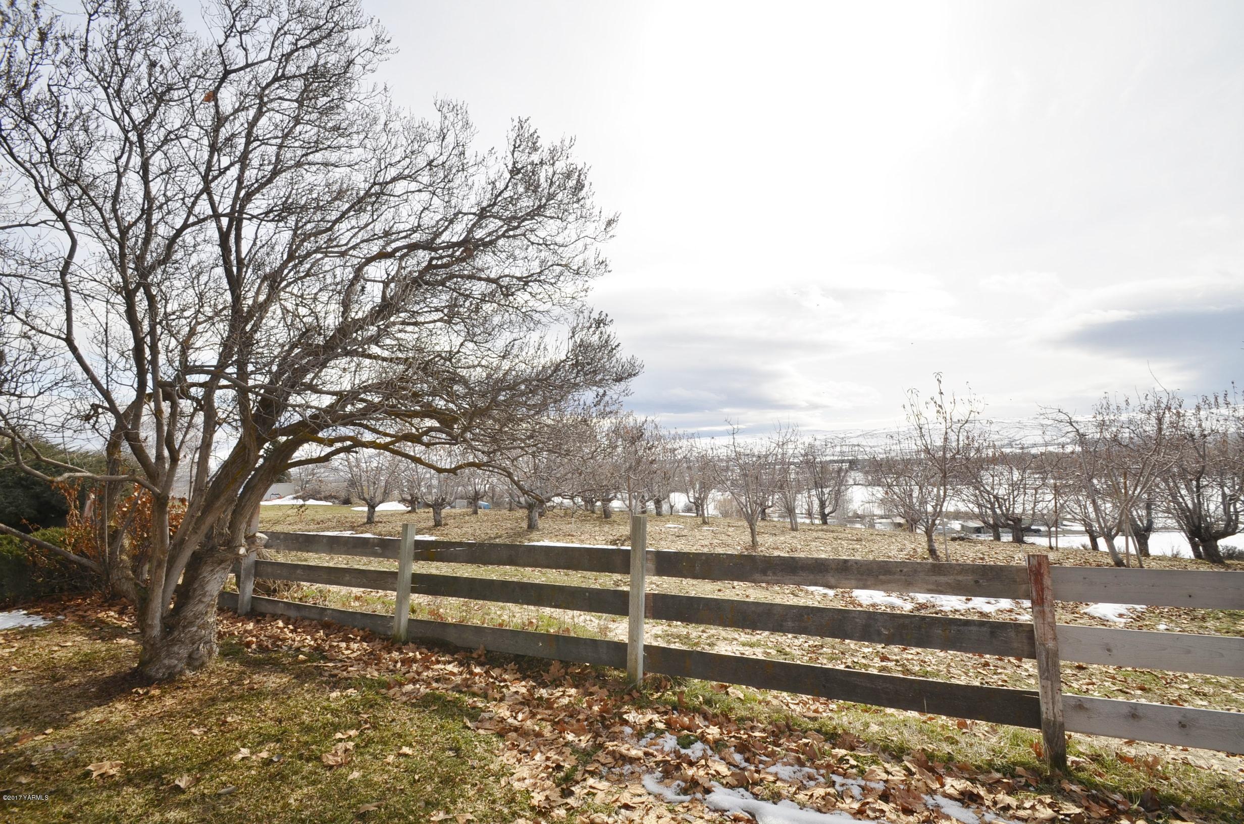 12602 Gilbert Road Yakima, WA 98903 - Photo 24 of 24 a view of a yard with large trees